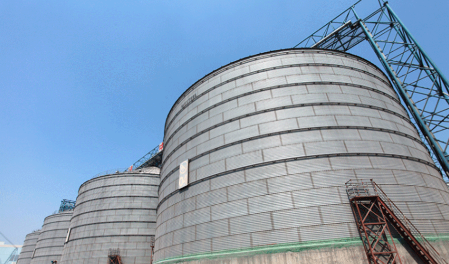 中央储备粮广东新沙港直属库 中央储备粮广东新沙港直属库