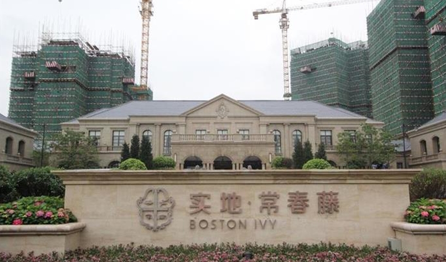 实地常春藤(广州) 实地常春藤(广州)