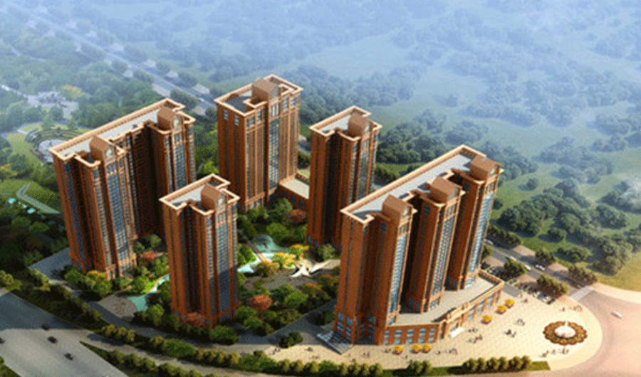 帝豪国际 帝豪国际