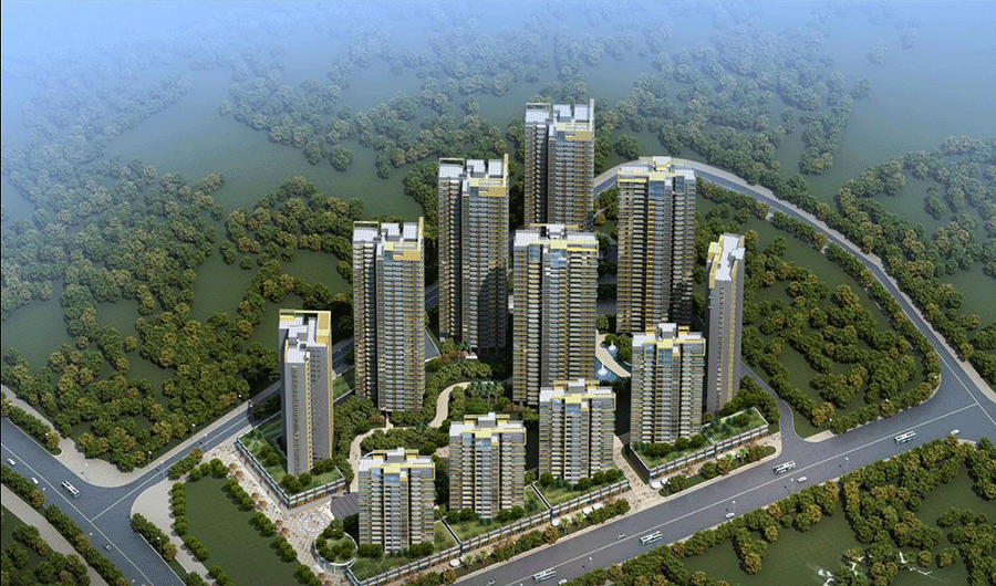 保利百合 保利百合