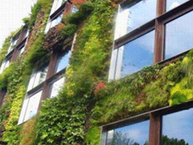 南宁出台绿化规划导则 打造城市立体绿化空间 南宁出台绿化规划导则 打造城市立体绿化空间