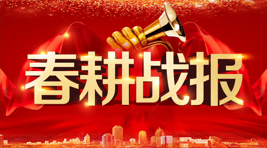 【春耕战报】三棵树·大禹九鼎黑白双雄助力开封重点民生工程项目建设 【春耕战报】三棵树·大禹九鼎黑白双雄助力开封重点民生工程项目建设