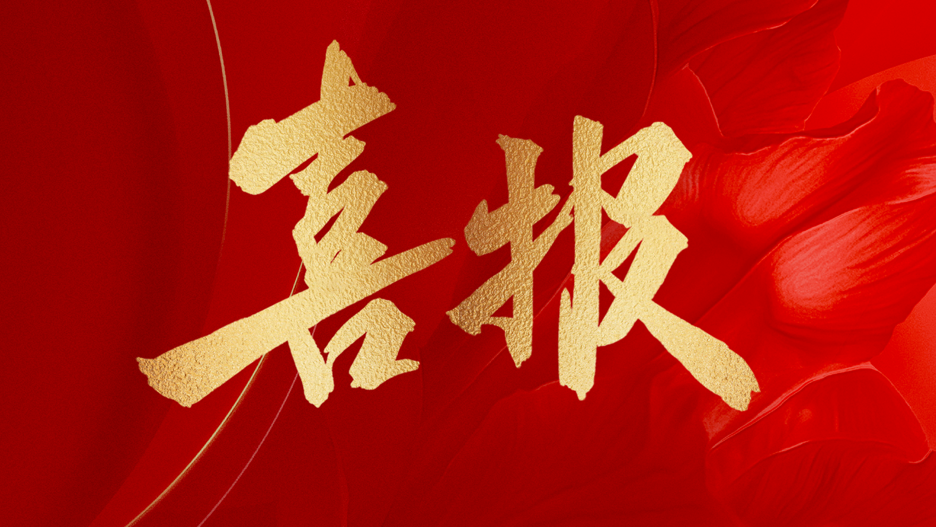 顺势·共赢·树未来|三棵树·大禹九鼎2024年产品推广会圆满举行 顺势·共赢·树未来|三棵树·大禹九鼎2024年产品推广会圆满举行